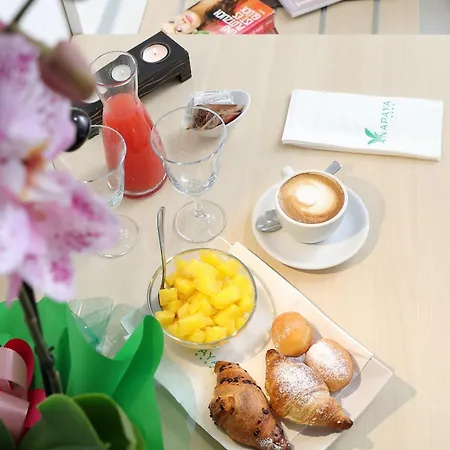 Anapaya لينانو سابيادورو