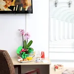 Hotel Anapaya 4*