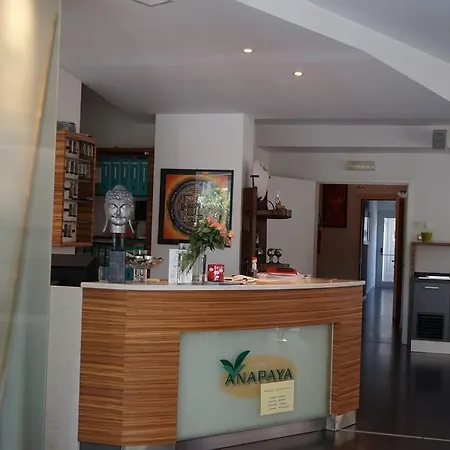 Anapaya Hotel 4*